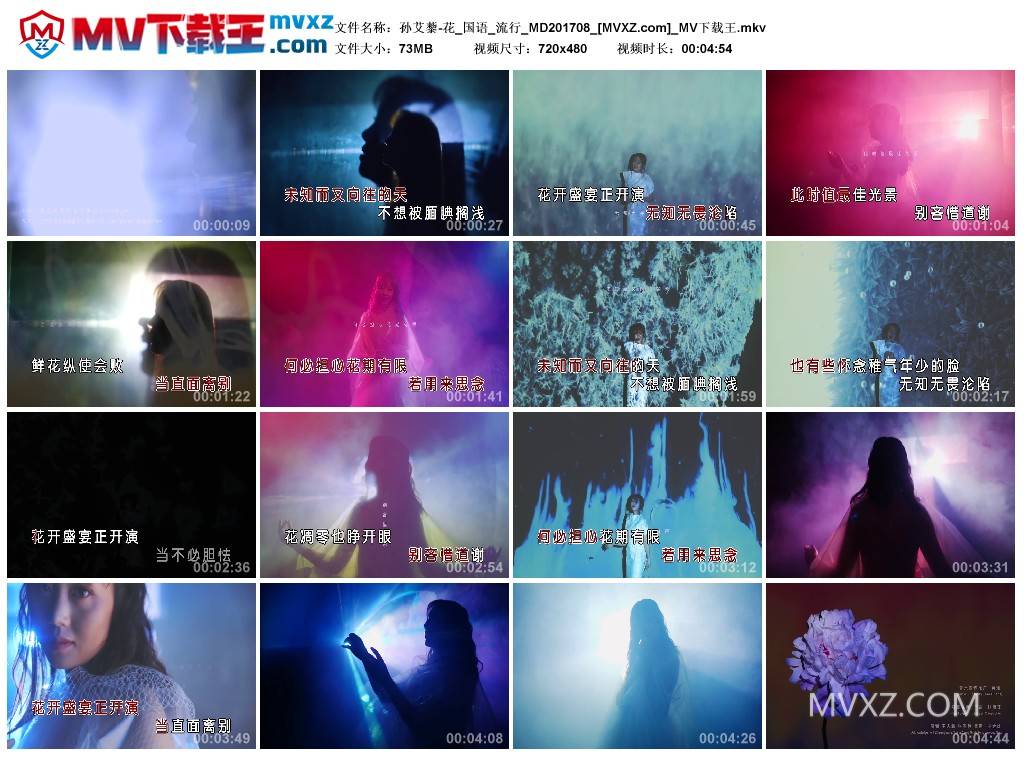 孙艾藜-花_国语_流行_MD201708